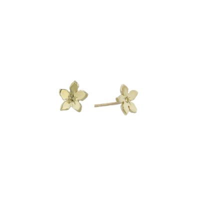 Burren Collection 9ct. Gold Gentian Burren Flower Earrings